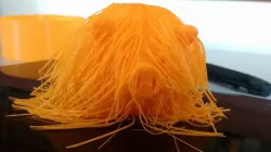 Hair Challenge Pig Hairy