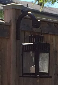 Hanging Plant Hook