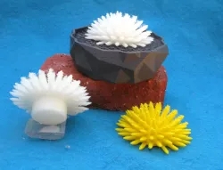  Models Resembling Cacti  