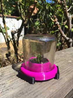 Oui Bottle terrarium