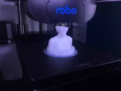 Selfie 3D