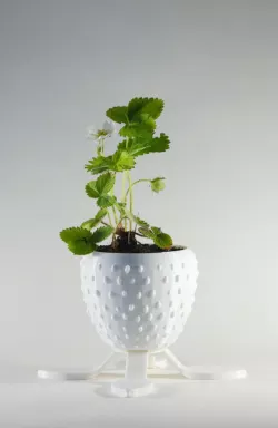 Strawberry Planter