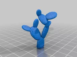 Weird Cactus