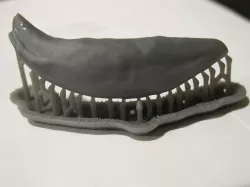 wolf tooth (scanned and printed)