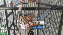 Automatic Bird Feeder