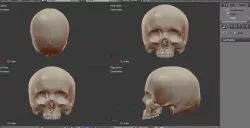 Awesome Skull for 3d print