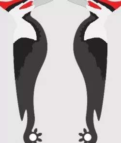 Complaint Button - Woodpecker Artwork 