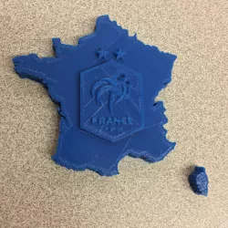 FFF Logo on Map of France