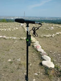 Light Stand Holder - Digital Recorder - Sony ICDPX370