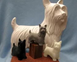 Long Haired Terrier 