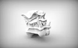 ork head 2