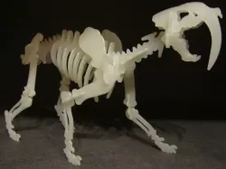 Sabertooth 3D Puzzle Construction Kit 