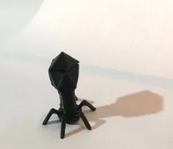 virus