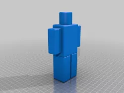 A Roblox Guy