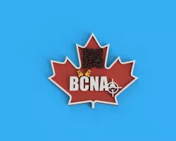 BCNA patch for 3D printing
