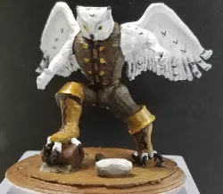 Boots - Aarakocra - D&D