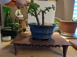 Fancy Rectangle - Bonsai Table