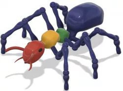 Fourmi articulée - Articuled ant