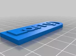 My Customized Customized Simple Name Fob