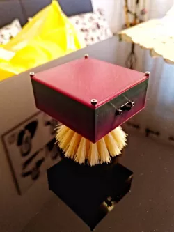 Running Brush / Laufbürste