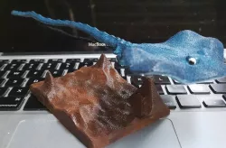 Sting Ray