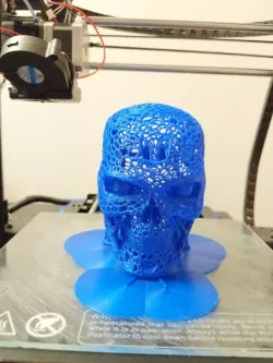 Terminator Skull Voronoi Style