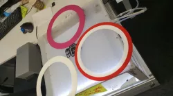 Throw ring frisbee like wing thing