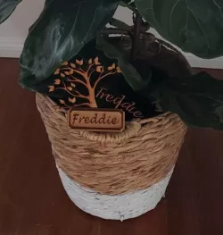 Tree plant sign