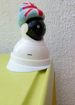 Yi Home Dome Camera wedge