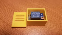 Box Relay 1 Channel Module (KY-019 5)