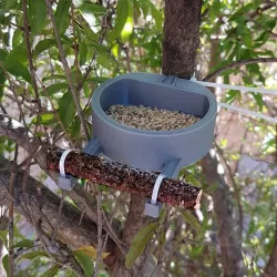 Caucaia Bird Feeder