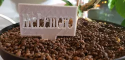 Chili nametag