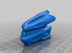 Dinosaur Jaw and head