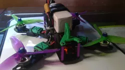 ESC guard / protector