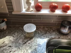 Fruit Fly Trap