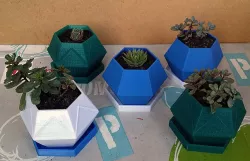 Hexagon Sukkulenten Pflanzgefäß (succulent planter)