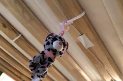 Kura Bed Slat Clip with Hook for Under Bunk Bed