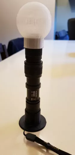 Nightcore Bulb & Base