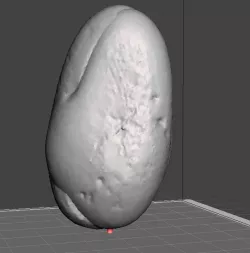 Potato for potatOS build