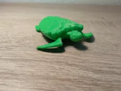 Sea Turtle
