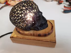 Skull Night Light
