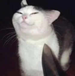 Smug Cat Lithopane