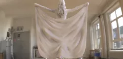The Butterfly