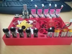 Tiny Whoop holder for 2 whoops