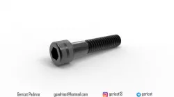 Allen Screw