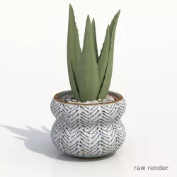 Aloe Vera Potted Cactus Plant 3D model