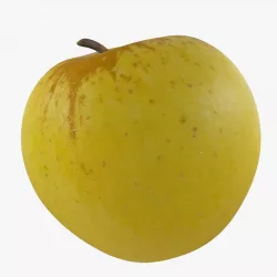 Apple2 Low-poly  3D model