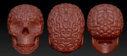 Bone head  3D model