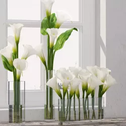 Calla Lily 3D model