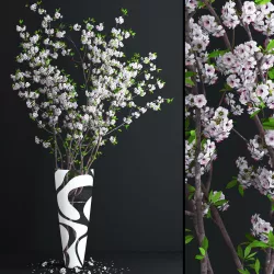 Cherry White Blossom 3D model